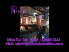 পাঁচ গ্যালন স্বয়ংক্রিয় বোতল ফুঁ মেশিন